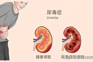 新利体育官网首页网址导航截图4